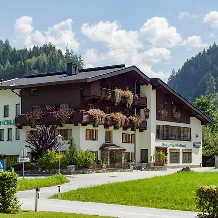 Appartement Andrea Hauser - Riedltischler Zell am Ziller Dış mekan fotoğraf